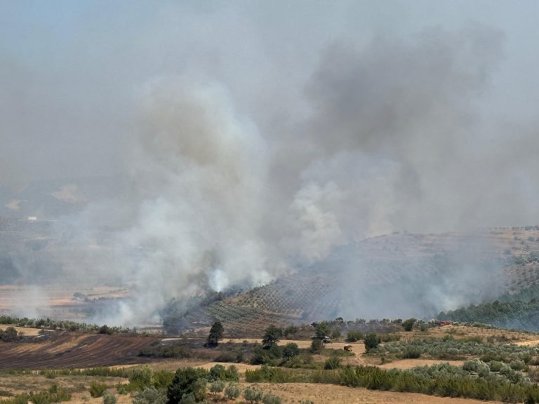 Digjen tokat bujqësore të Belshit