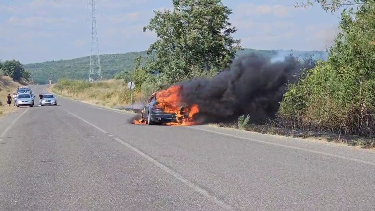 Dy zjarre djegin makinën dhe Belsh dhe ullinjtë në Cërrik
