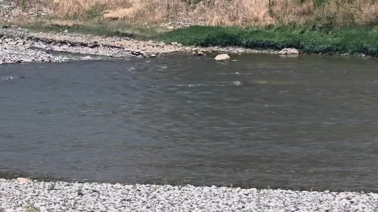 Tragjike në Elbasan! Mbyten dy fëmij të vegjël në Labinot Fushë