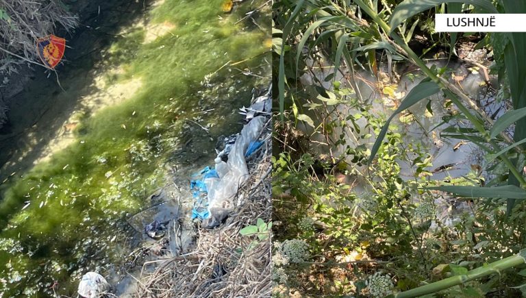 Ndoti ujërat e kanalit kullues/Lushnje, procedohet pronari i fabrikës së peshkut