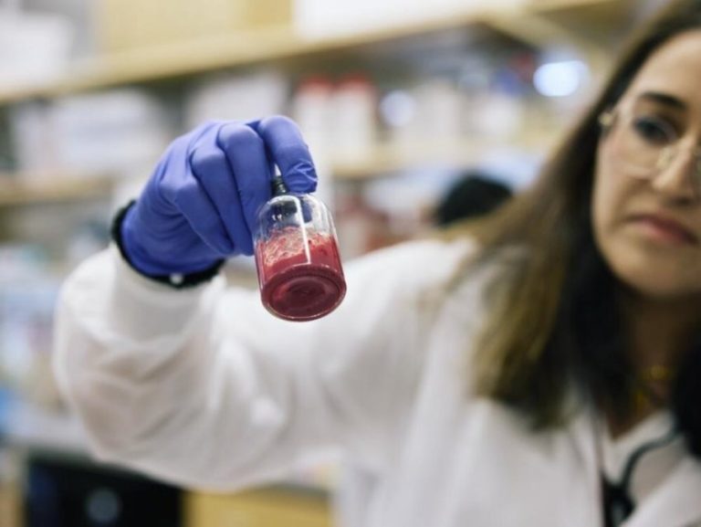 Duket si pluhur, shpiket gjaku artificial