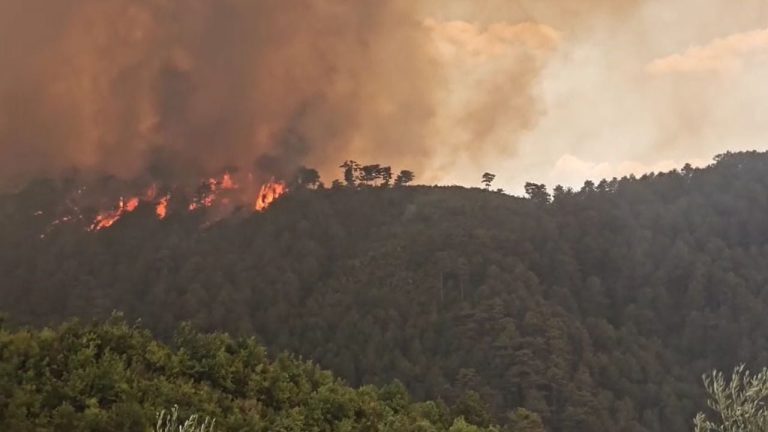 Një viktimë, tetë të plagosur! Evakuohen shtatë fshatra, pamje apokaliptike nga Gramshi