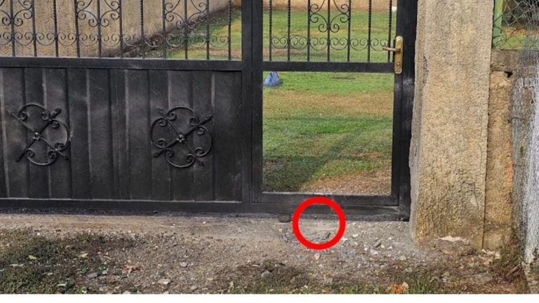 Shpërthimi me lëndë plasëse në Fushë Kuqe/ Policia gjen gëzhoja plumbash pranë banesës, vijojnë hetimet për ngjarjen