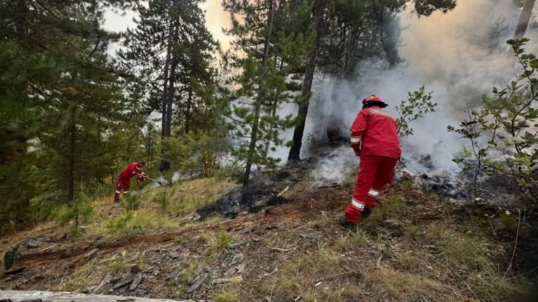 Zjarr në fshatin Shushicë të Elbasanit