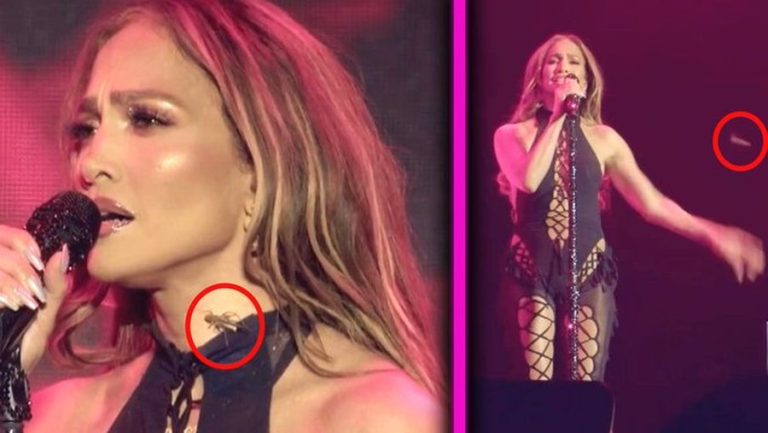 Një karkalec “i vjedh” shfaqjen Jennifer Lopez, episodi bën xhiron e rrjetit