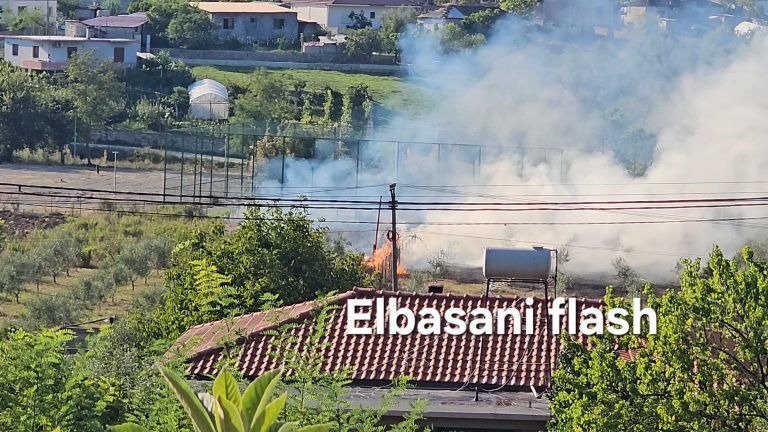 Procedohet e moshuara nga fshati Mlizë pasi i vuri zjarrin tokës