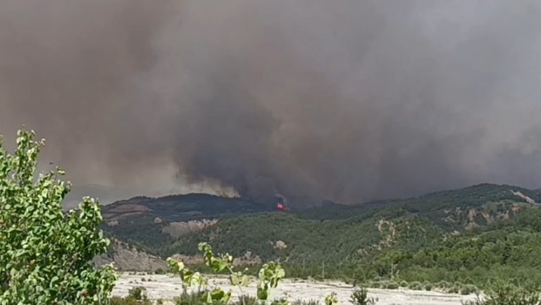Gramsh, pasoja tragjike nga zjarret, një viktimë dhe disa të djegur