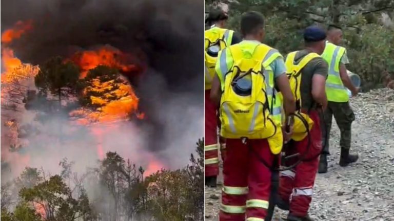 Gramsh/ Rrezikohet nga flakët zona pranë liqenit të Dushkut, zjarrfikësit në terren në luftë me flakët
