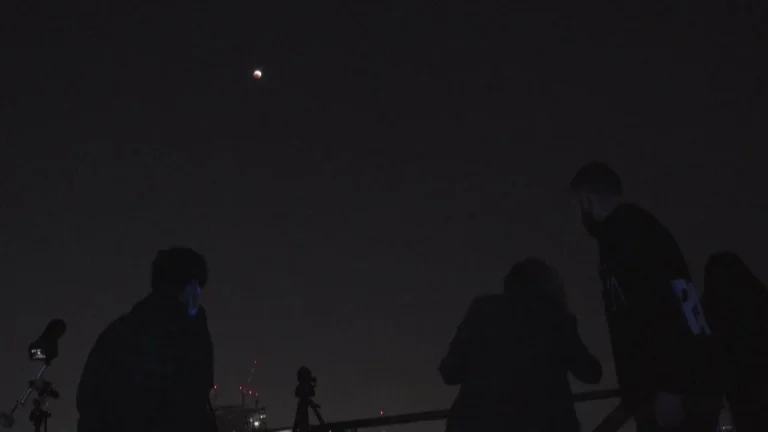 Yjet që bien! Perseidët, shirat nga qielli më të pritur të vitit