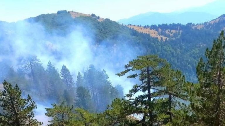 Zjarre nga jugu në veri! Flakët në Korçë kalojnë në territorin grek, aktive prej shumë ditësh vatra në fshatin Xath