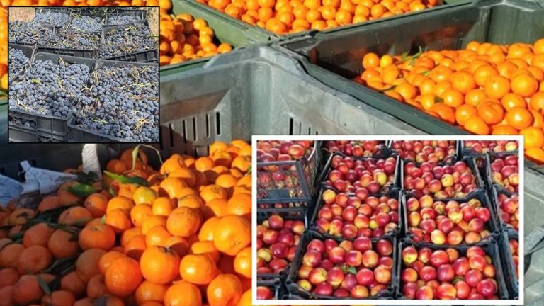 AKU: Pjeshkët dhe rrushi i importuar nga Greqia rezultojnë me pesticide – shëndeti i konsumatorëve në rrezik