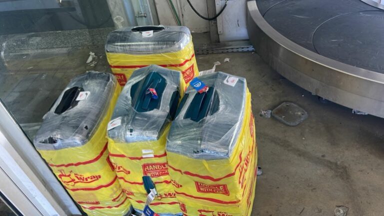 Arrestohen dy kinezë, tentuan të fusnin në Shqipëri 100 kg kanabis