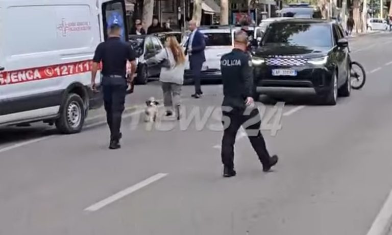 Qëlloi gjyqtarin dhe i la pistoletën në dorë rojës, zbardhet dinamika e vrasjes së gjyqtarit Astrit Kalaja pas vendimit për pronën