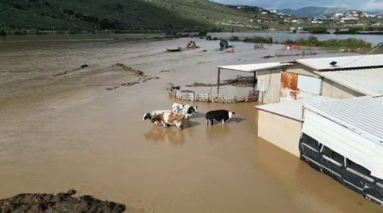 Pamje dramatike nga fshati Metoq në Sarandë/ Banesa të përmbytura, bagëtitë në rrezik