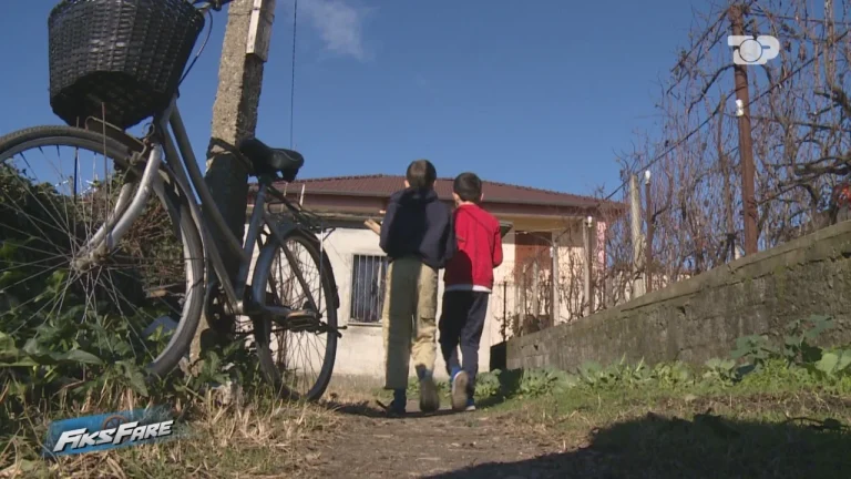 Pak lakër, patate dhe copa mishi të falura: Si familjet shqiptare presin Vitin e Ri në luftë me mbijetesën