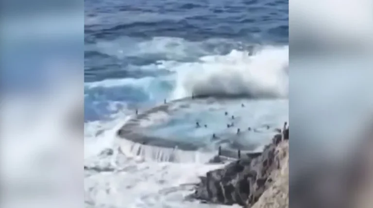 Tragjike në Spanjë, katër persona humbin jetën pasi u goditën nga një dallgë teksa laheshin në një pishinë natyrale në bregdetin e Tenerifes