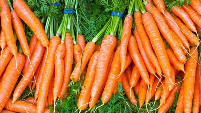Karrota, sekreti i shëndetit të hekurt! Ja si ta konsumosh për të marrë sa më shumë vlera