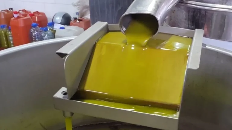 Vaji i ullirit nuk po shitet, ankohen fermerët: Shitet i falsifikuari, prodhimi ynë po mbetet stok