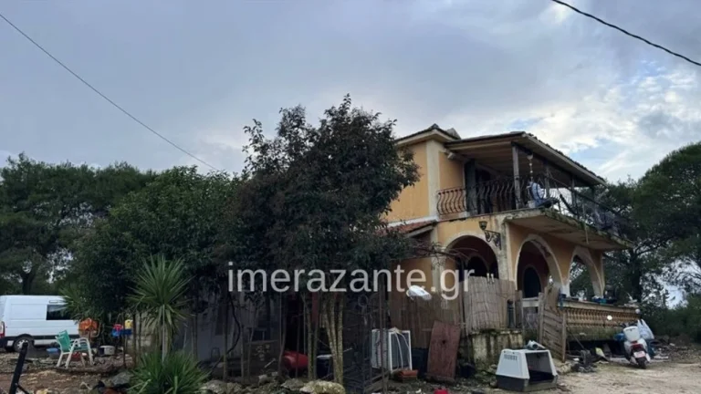 “Babi eja”/ Qeni i familjes kafshoi për vdekje 2-vjeçarin shqiptar, flet babai: Im bir më pa, buzëqeshi dhe mbylli sytë përgjithmonë