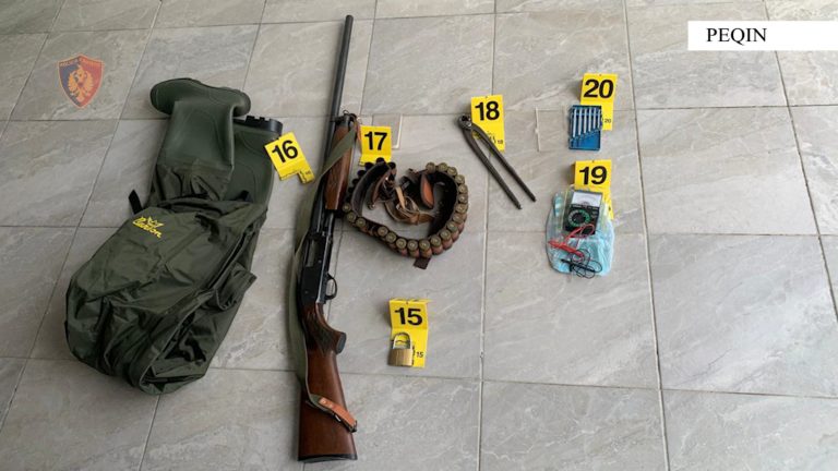 Hyri për të vjedhur në një banesë, arrestohet hajduti në Peqin