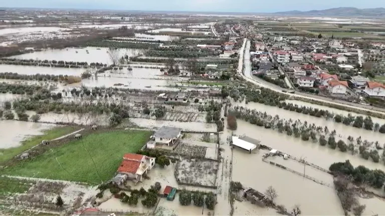 Përmbytjet, ekspertët: Shtëpive u duhen deri në 3 muaj që të thahen, serat me dëme të parikuperueshme