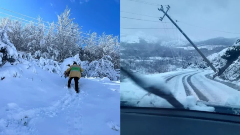Dëmet nga dëbora dhe era, thyhen dhjetëra shtylla të tensionit në fshatrat e Librazhdit dhe Përrenjasit