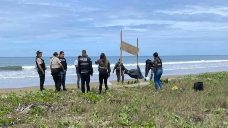 Tmerr në Ekuador, gjenden pesë koka njerëzish të varura në një plazh turistik me një mesazh kërcënues