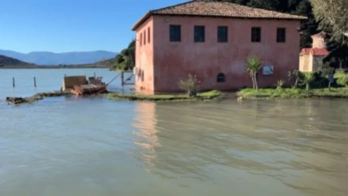 eba66f6c-c9e4-4eda-a9a5-4c2bc7ec5f01_sd