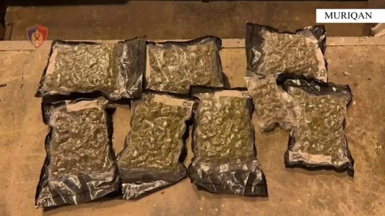 Kishin fshehur 4.2 kg kanabis në makinë, pranga 2 personave në Muriqan